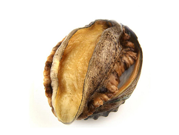 Abalone Meat